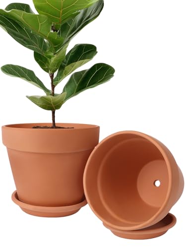 INGOFIN Terracotta Pot Set of 2 with Saucer - 10 Inch Ceramic Clay Pot for Plants with Drainage Hole, Large Terra Cotta Flower Planter with Tray for Indoor Outdoor Plants - size: 10/10 inch -2 pcs