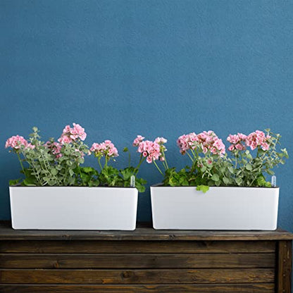 Skelang 2-Pack Self Watering Planter, Rectangle Flower Pot with Water Level Indicator, Window Gardening Box for Indoor Plants, Succulent, Sprout, Pepper