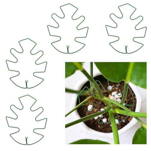 4PCS Iron Monstera Plant Support for Indoor Plants Plant Stem Holder Plant Stuff Plants for Support Stabilizer for Monstera Bamboo Flower for Growth Gifts for Gardeners - color: Green, size: 5.1" X 6.29"