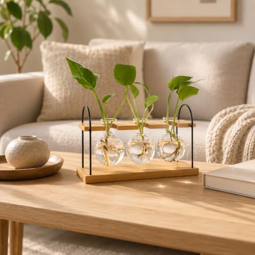 Plant Propagation Station with Bamboo Stand 3 Bulb Glass Vase Plant Terrarium, Hydroponic Planter for Desk & Office Decor, Gardening Gifts for Women Plant Lovers, Care Guide Included