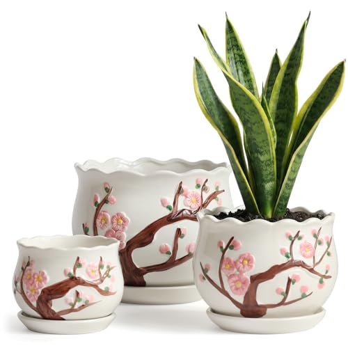 Ceramic Plant Pots with Drainage Holes and Saucers, Small Planters Set of 3 - color: White01