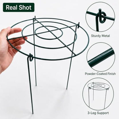 Peony Cages and Supports, 8 Pack 12 x 15.7 in Metal Plant Support Rings Set
