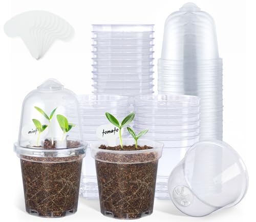 homenote 3 Inch Nursery Pots with Humidity Domes for Seed Starting (30 Pcs) - color: Transparency-with Lid, size: 3 Inch-30 Pack