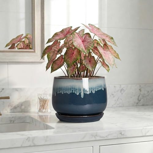 7 Inch Plant Pot Indoor, Ceramic Plant Pots, Retro Blue - size: 7 Inch, style: Retro
