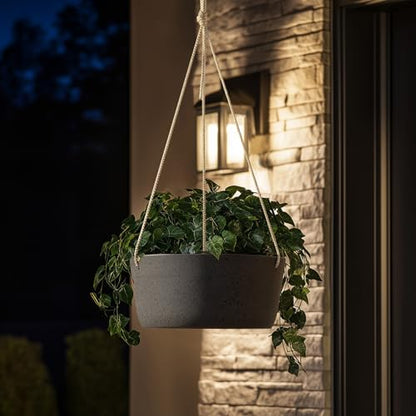 La Jolie Maison Large Hanging Planters for Outdoor Plants, Set of 2 12 Inch - color: Black Charcoal