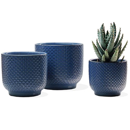 4 + 5 + 6 Inch Ceramic Pots for Indoor Plants, Succulents Plant Pots, Orchid Flower Pot with Drainage Hole, Modern Clay Stoneware Planters, Set of 3 (Dusty Blue, 4+5+6 Inch) - color: Dusty Blue