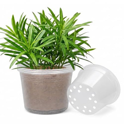 10 Inch Clear Nursery Pots with Drainage Holes, 4 Pack Flexible Large Plant Pots for Plants, Plastic Clear Nursery Pots for Seedling, Shrubs, Herbs, Flowers, Vegetables - size: 10 Inch