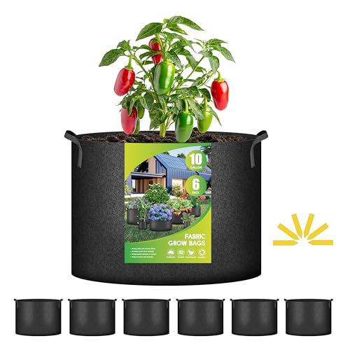 iPower Plant Grow Bag 10 Gallon 6-Pack Heavy Duty Fabric Pots, 300g Thick Nonwoven Fabric Containers Aeration with Nylon Handles, for Planting Vegetables, Fruits, Flowers, Black 2024 Version - color: Black, size: 10 Gallon