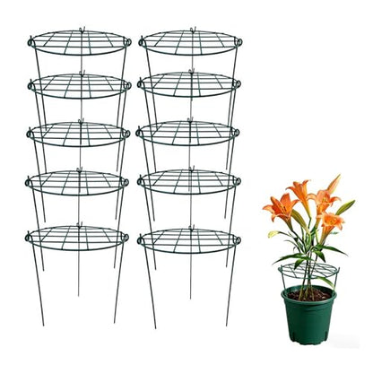 MTB Supply 10 Pack 16 x 24 inch Green Peony Cages Grow Through Plant Support Stakes Flower Support Hoops Heavy Plants Brace Rings - size: Grid 10pack