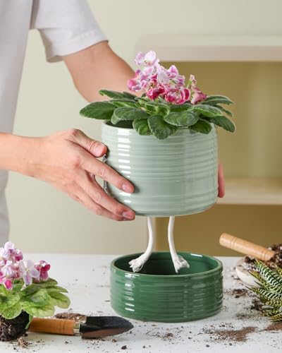 Fayoula Self Watering Pots for Indoor Plants, 6 Inch Ceramic Self Watering Plant Pot, Planter Pot with Wick Rope and Drainage Hole for African Violet Succulent Herbs (Green Light) - color: Green Light
