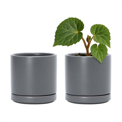 D'vine Dev 2-Pack Ceramic Pots with Saucers, Grey, 3.5 in, 94-V-A-3 - color: Gray, size: 3.5 Inch