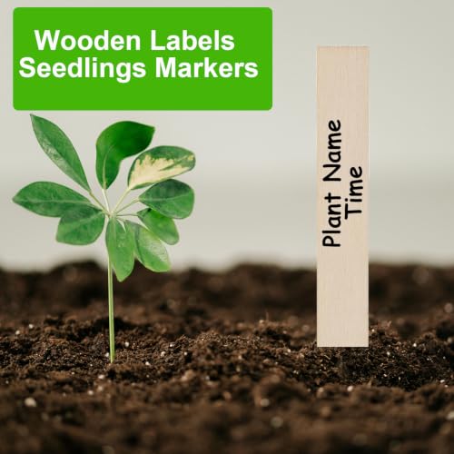 Wooden Plant Labels 55 Pcs, 6 Inch Potted Plant Name Tags Wood