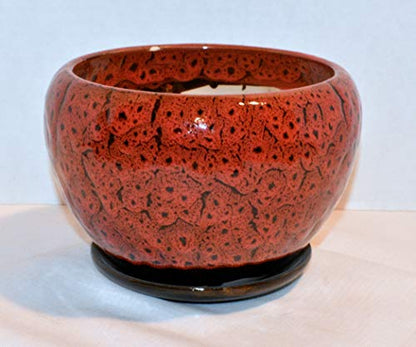 New 6.5" Burnt Red & Black Cheetah Speckled Potbelly Planter Plant Pot & Saucer