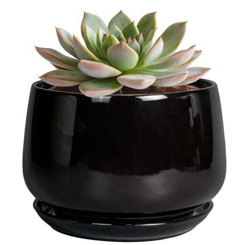 G EPGardening 6 Inch Planter, Ceramic Pot for Plants, Black - color: Black, size: 5 Inch