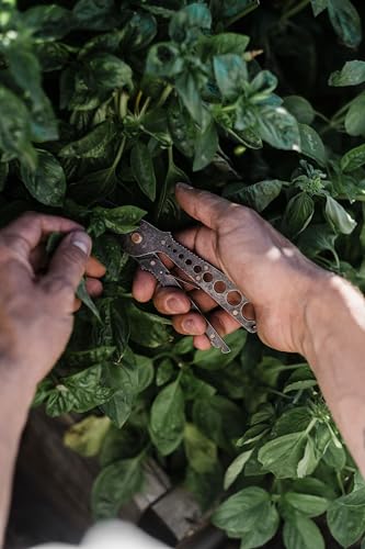 Barebones Herb Harvest and Strip Tool - Stainless Steel with Copper Accents - Your All-in-One Culinary Companion (Tumbled Black) - color: Tumbled Black