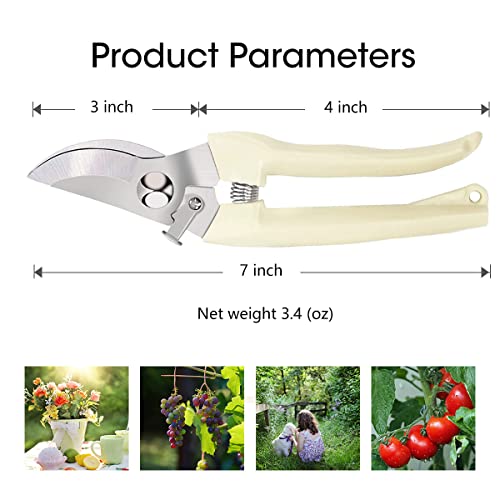 Leize Pruning Shears, Gardening Hand Pruner, Floral Shears, Strong Pruner for Flowers, Branches and Leaves (CreamA) - color: Creama