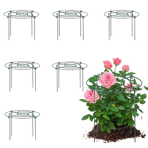 Peony Cages and Supports Pack 6 PCS ,11.8" Dx15.8" H Heavy Duty Plant Support Cage Set for hydrangeas, Roses and Tomatoes ,– Garden Stakes & Plant Cages for Outdoor Plants (11.8" Wx15.8" H-6 Pack) - size: 11.8" Wx15.8" H-6 Pack