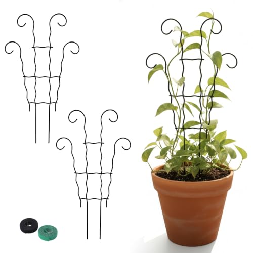 Small Trellis for Potted Plants,Trellis for Climbing Plants Outdoor - size: 17.5inch