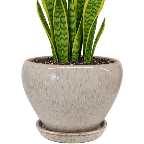 Deep Dream 8 Inch Plant Pots- Ceramic Pots for Plants with Drainage Hole and Saucer, Large Planter Pot for Indoor Plants Outdoor Decor, Beige - color: Beige, size: 8 Inch