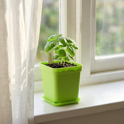 HOIGON 100 Pack 3 Inch Green Square Nursery Pot, Durable Thickened Plastic Nursery Pots with Drain Holes and Saucers, Small Square Planting Containers for Flower Tomatoes Basil - color: Green