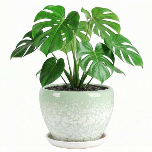 10.2 Inch Ceramic Planter with Saucer Leak-Proof Mesh &Drainage, Round Plant Pot with Gardening Gloves for Indoor Outdoor Plants (Jade Green) - color: Jade Green, size: 10.2 Inch
