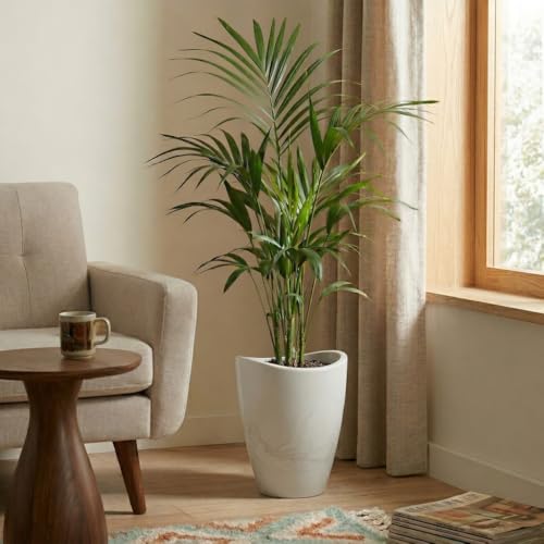 15.7" Tall Planter | Eco-Friendly, Durable, Lightweight | Indoor/Outdoor Use, All-Weather, Contemporary Design by Brazilian Artisans - White - color: Marbled White, size: 15.7" H x 11.8" W