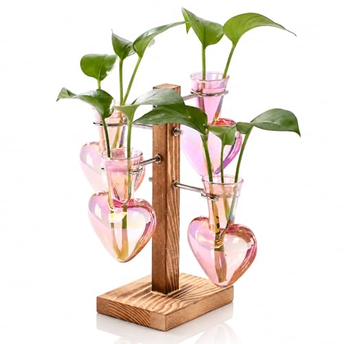 Nacome Plant Terrarium Propagation Stations: Pink Vase with Wooden Stand - color: Pink