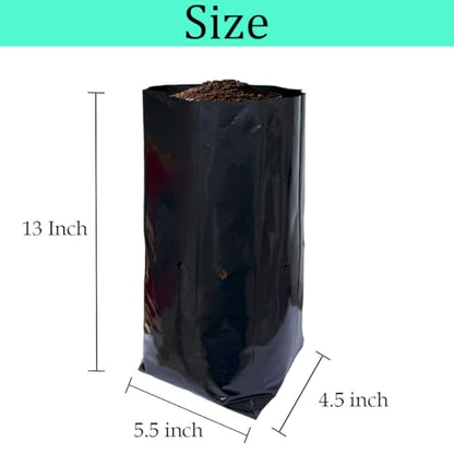 gardtree 1 3/8 Gallon 50 Pcs Tall Plant Nursery Bags 5.5" x 13", Deep Root Plastic Plant Grow Bags Thicken Tree Seedling Pots for Vegetable, Flower, Fruit, Citrus, Nut Trees, Taproot Saplings - size: 5.5"x13"/50PCS