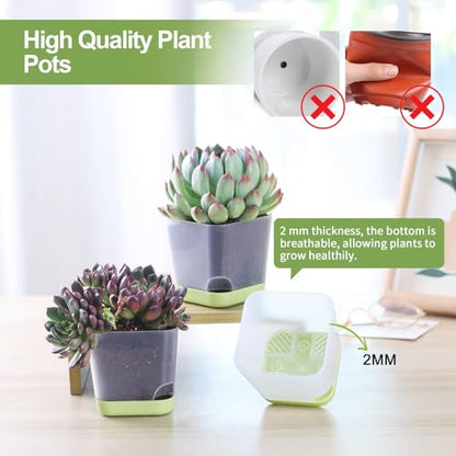 Oliz 20pk 3" Square Succulent Pots w/Drainage & Saucers - size: Mini Clear Pots 20 Pack