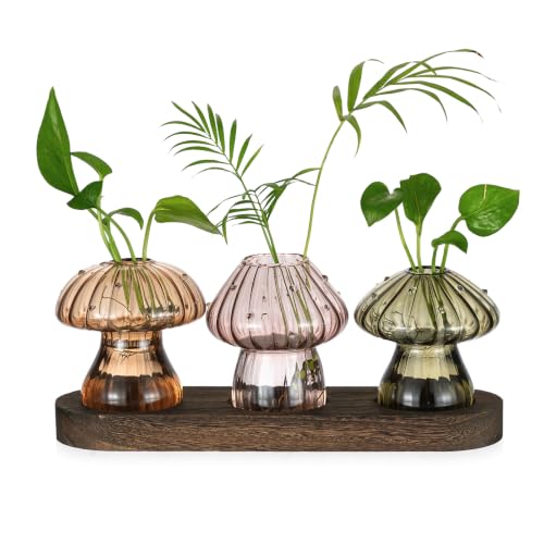 Hewory Plant Propagation Stations: 3PCS Amber Mushroom Vase with Wood Tray - color: Amber, size: 3