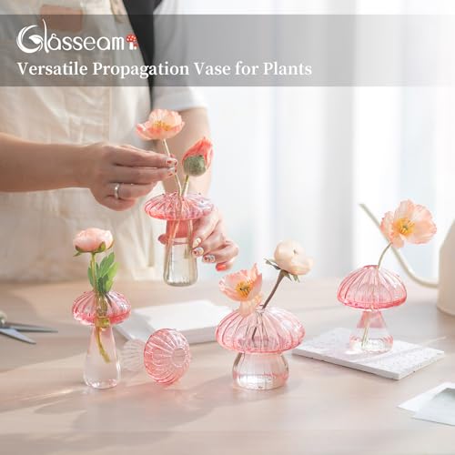 Glasseam Mushroom Plant Propagation Station: 5 Pcs Pink Glass Terrarium Jar - color: Pink, size: 10