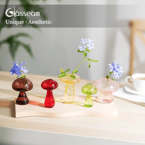 Glasseam Mushroom Plant Propagation Station: 5 Pcs Glass Mini Terrarium - color: Colorful, size: 5