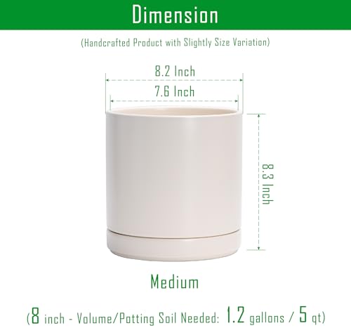 D'vine Dev 8.2 Inch Ceramic Planter Pot, Oatmeal, 94-O-D-8 - color: Oatmeal, size: Medium