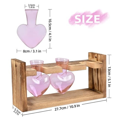 Plant Terrarium Propagation Stations Hydroponics - color: Pink