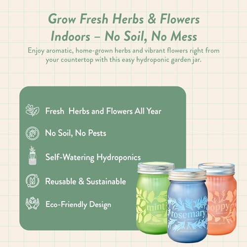 Modern Sprout Mason Garden Jar - Self-Watering Hydroponics Growing Kit-3Pk - color: Poppy + Rosemary + Mint