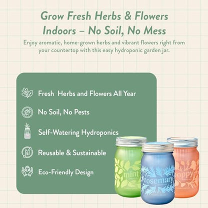 Modern Sprout Mason Garden Jar - Self-Watering Hydroponics Growing Kit-3Pk - color: Poppy + Rosemary + Mint