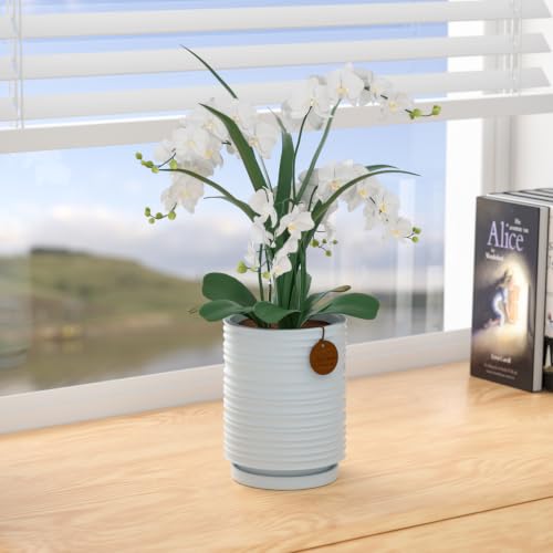 7.1 Inch Blue Ceramic Planter with Drainage and Saucer - color: Light Blue, size: Large
