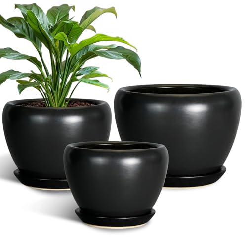 Ceramic Planters Pots - 10 Inch 8 Inch 6 Inch Plant Pots Indoor with Drainage Holes and Saucers Large Planters Mid-Century Flower Pots Outdoor Set of 3 Black - color: Black