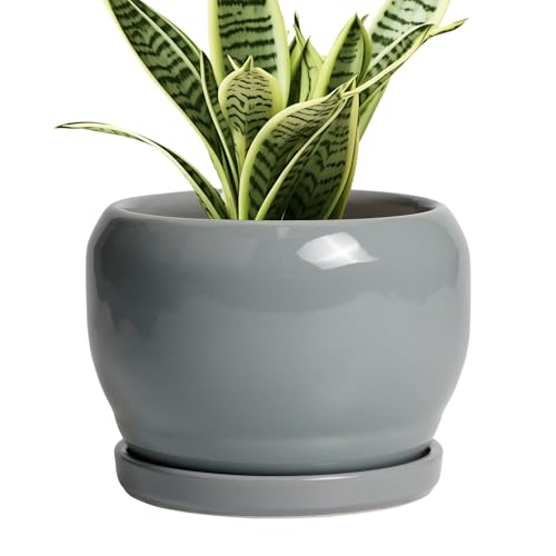SQOWL 6 Inch Plant Pots - Ceramic Planter with Drainage Hole and Saucer, Round Ceramic Flower Pot Indoor Outdoor, Modern Succulent Planter, Bathroom Decor, Gifts for Plant Lovers, Grey - color: Glossy Gray, size: 6 Inch