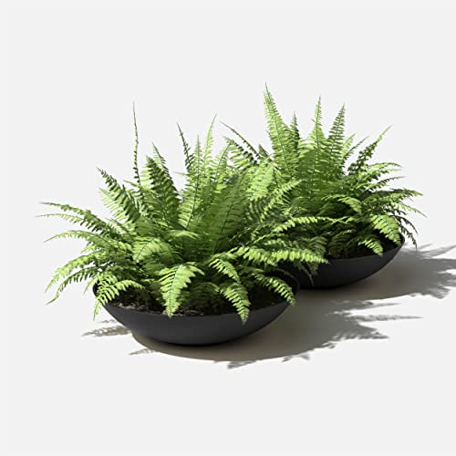Veradek Mason Series Lane Bowl - Large Outdoor Bowl Planter - color: Black, size: 8"H x 32"DIA 2PK