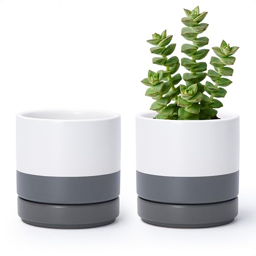 D'vine Dev 2-Pack Ceramic Pots with Saucers, White/Grey, 4.7 in, 94-V-B-6 - color: White/Speckled Grey, size: 4.7 Inch