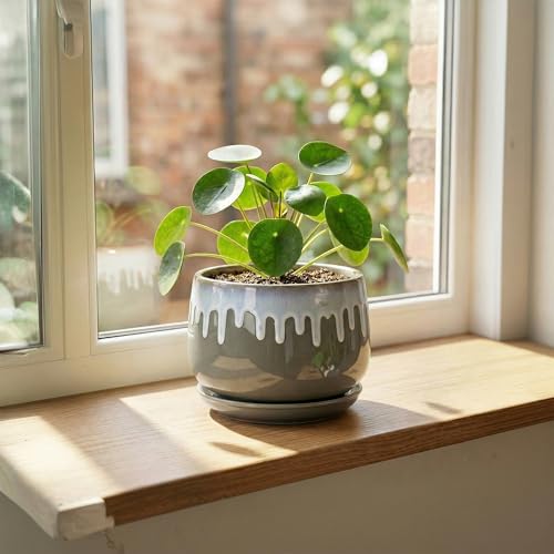 Ceramic Pots for Plants 6 Inch, Indoor Plant Pots, Grey-Blue - size: 6 Inch, style: Grey-blue