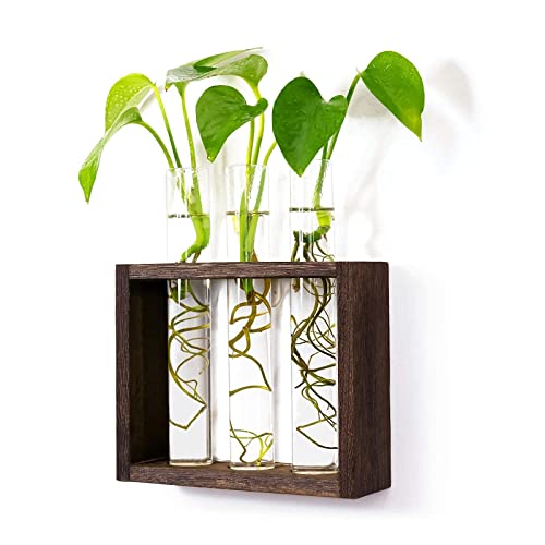 Wall Mounted Hanging Glass Test Tube Planter Propagation Station Glass Vase Rack with Wood Stand, Plant Terrarium Holder for Hydroponics Succulent Air Bamboo Plants with Test Tube