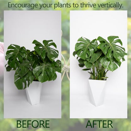 5PCS Monstera Plant Support Hooks - 6.5" Durable Metal Stabilizers - size: 6.5 x 6.5 inches