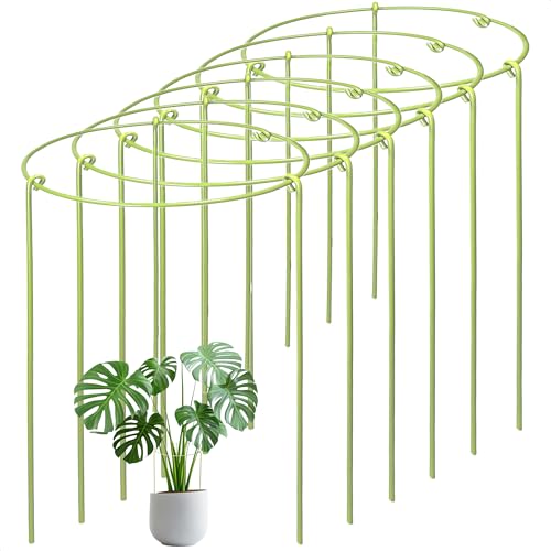 6-Pack Heavy Duty Plant Stakes and Supports for Indoor Outdoor Plants, Metal Support Stakes & Cage Rings, Ideal for Monstera, Peonies, Roses (8" W x 14" H) - size: 8"W x 14"H, 6-Pack