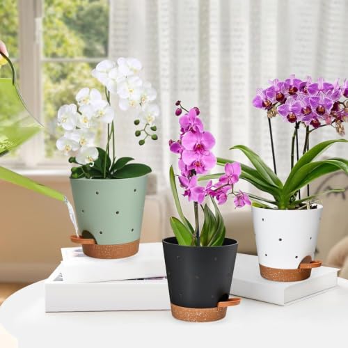 Orchid Pot, 6 Inch Orchid Pots with Holes, 6 Pack Self Watering Plant Pots - color: Multicolor - 6pack