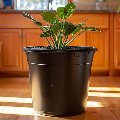 OUPSAUI 1 Gallon Pots for Plants,Flexible Gallon Plastic Nursery Pots with Drainage Holes, Plastic Pots for Outdoor Plants (1Gal-20pcs) - size: 1Gal-20pcs