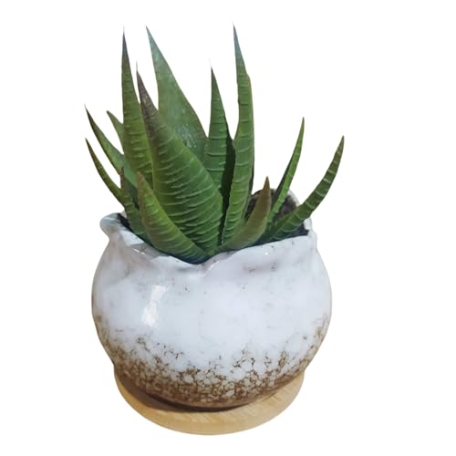 Cute 4" Round Ceramic Home Garden Decoration Succulent Cactus Flower Pots Container -Plant Not Included，White - color: White