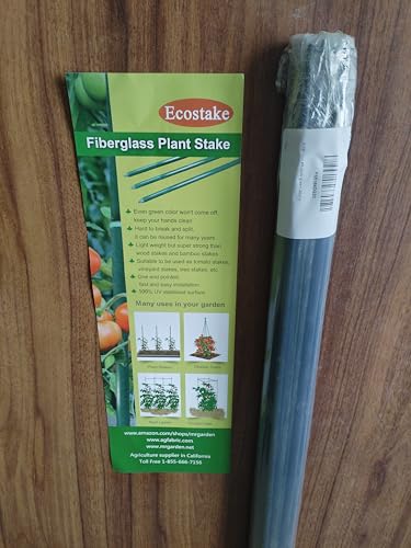 48inch Plant Stakes 20pack, 5/16 Inch Dia Garden Stakes, Garden Poles Tree Stake Cucumber Potato Stake Fence Stake Never Rust, 4ft Long - size: 5/16'' Dia x 4Ft Height (20 packs)