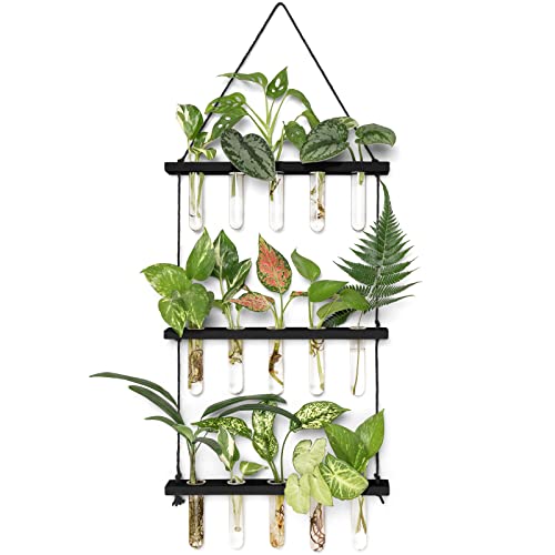 Mkono Plant Propagation Station, 3 Tier Black Wall Hanging Vase Test Tubes - color: Black, size: Medium